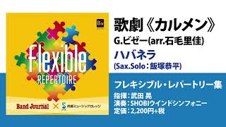 歌劇《カルメン》 ハバネラ／Gビゼーarr石毛里佳／指揮：武田晃／演奏：SHOBIウインドシンフォニー [upl. by Nirac939]