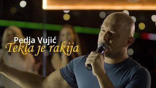 Pedja Vujic  Tekla je rakija  Bekrija Cover 2021 [upl. by Anaicul318]