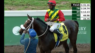 JAMAICA RACING Barnaby Makes Impressive Debut In Sun Nov 17 2024 8th [upl. by Akenat]