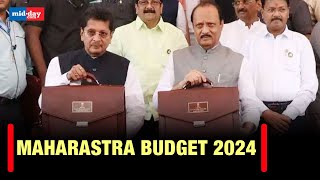 Maharashtra Budget 2024 Deputy CM Ajit Pawar presents budget Here are major highlights [upl. by Latsyrc]