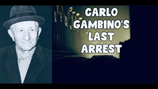 Gambinos last arrest [upl. by Ayahsal]