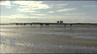 Wadden Sea in 60 secs  UNESCO World Heritage [upl. by Arayt]