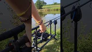 Run fox mx 🔥🔥🔥 fishing carpfishinglife carp carplife fish carps carpfish [upl. by Nattie]