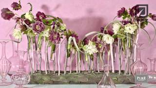 Add some luck to your christmas table with Helleborus [upl. by Kulseth268]