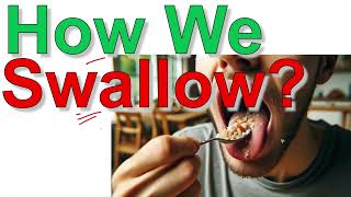 Human Physiology II How We Swallow Food Bangla HumanPhysiology SwallowingProcess [upl. by Bengt781]