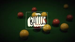 Gallus  Fruitflies Official Video [upl. by Valda]