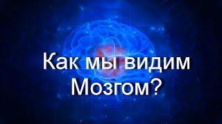 Как Мы Видим на Самом Деле Этот Мир I Свет Мозг и Зрение [upl. by Val]