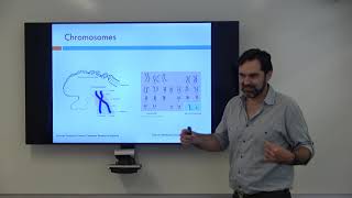 Nucleotides Chromosomes and Haplotypes Oh My [upl. by Adnilav560]