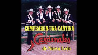 ME COMPRE UNA CANTINACARDENALES DE NUEVO LEON [upl. by Rotow]