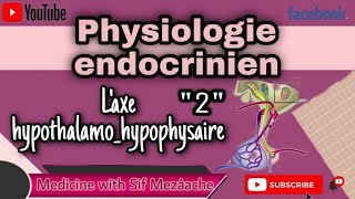 12 Axe Hypothalamo Hypophysaire  Partie 02  Physiologie 2éme MED [upl. by Sue778]