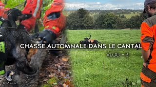 VLOG 3  CHASSE AUX SANGLIERS DANS LE CANTAL  SAISON 20242025 [upl. by Assenov576]