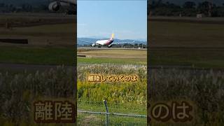 仙台空港から2時間弱のフライトへいってらっしゃい仙台空港 アシアナ航空 butterfly [upl. by Wilhelmina]