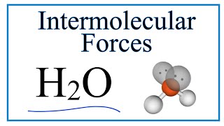 Intermolecular Forces for H2O Water [upl. by Acinoryt]