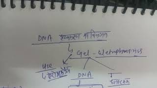 recombinant DNA technology upsc cse and pcs [upl. by Lielos]