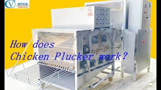 How does chicken plucker workchicken plucker [upl. by Eanerb]