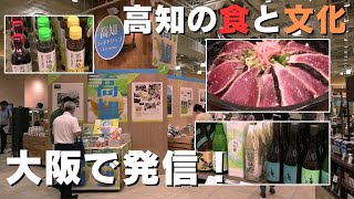 「高知の食と文化を発信するイベント 大阪梅田のデパートで開催中」2024619放送 [upl. by Augustus]