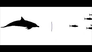 Dolphin Echolocation Sound Effect [upl. by Yhtuv]