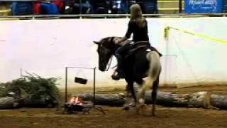 Great American Trail Horse Sale Trail Competition second Half [upl. by Gavrielle]