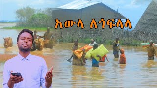 አውላ ለጎፍላላ ስልጥኛ [upl. by Ennairam910]