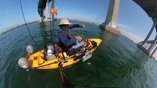 San Diego Bay Coronado Fishing July 20 2024 [upl. by Tinor]