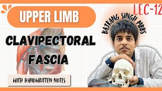 Clavipectoral fascia anatomy in Hindi ll upper limb anatomy ll mbbs 1st year [upl. by Llertram]