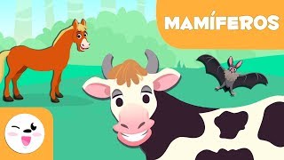 Los Mamíferos para niños  Animales vertebrados  Ciencias naturales para niños [upl. by Aitnahs]