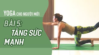 Yoga cho NGƯỜI MỚI Bài 5 Tăng SỨC MẠNH CƠ BẮP  Yoga By Sophie [upl. by Xonel]