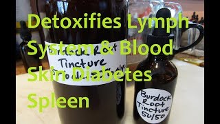 Making Burdock Root Double Tincture [upl. by Lotti]