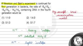 If Meselson and Stahls experiment is continued for four generation in bacteria the ratio of \ [upl. by Nalra]