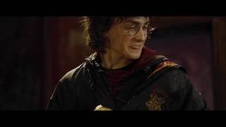 Harry Potter The Golden Egg MEME Wedgie Edition Funny Must Watch [upl. by Yunfei307]