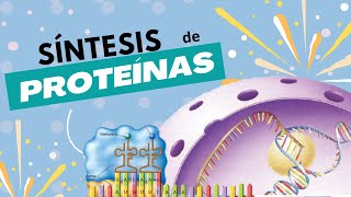 Síntesis de Proteínas  En menos de 10 minutos ⚡ [upl. by Kelleher]