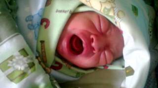 bayi nangis baru lahir [upl. by Conover]