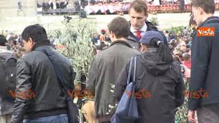 Domenica delle Palme in Piazza San Pietro gli ulivi della Puglia [upl. by Lewellen]