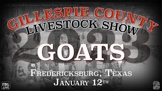 GOATS  2023 Gillespie County Youth Livestock Show [upl. by Yung]