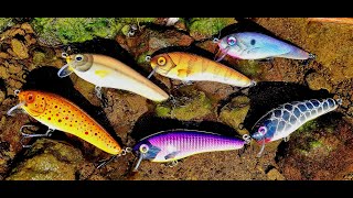 105mm Minnow Lure  Montage  swim testing [upl. by Ardnohs876]