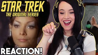 Amok Time  Star Trek The Original Series Reaction  Season 2 [upl. by Skipton]