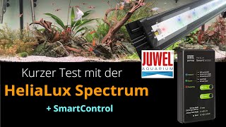 Kurzer Test mit der Juwel HeliaLux Spectrum LED  SmartControl [upl. by Annodahs]