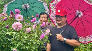 CANCER SURVIVOR KINONVERT ang TRADITIONAL GULAYAN into SUPER GANDANG ORGANIC FLOWER GARDEN [upl. by Tnemelc]