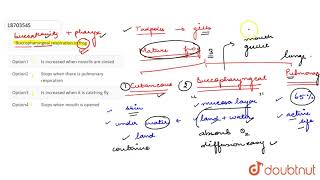 Buccopharyngeal respiration in frog [upl. by Beverie]