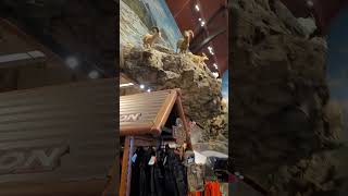 Bass Pro Shop Niagara Falls [upl. by Reube119]