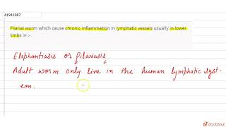 Filarial worm which cause chronic inflammation in lymphatic vessels usually in lower limbs in [upl. by Artcele]