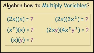 What is 2x times x in Algebra Multiplying Variables [upl. by Vincenz]