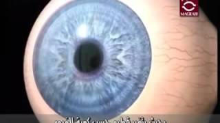 تركيب العين الجزء الأول  مستشفيات مغربي [upl. by Montagu]