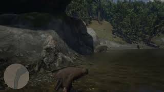 RDR2 My first vomit rope [upl. by Harol12]