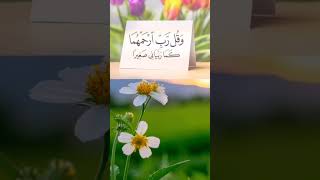 DUA FOR PARENTS ᴴᴰ  Listen Daily This Beautiful Heart Touching Supplication shorts yt short [upl. by Owena]