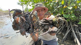 I Found A Lot Of Huge Mud Crabs at Mangrove Trees Zone [upl. by Zednanreh488]