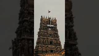 Thiruchendur Kandasashti grand yagasalai festival Murugan viral shorts [upl. by Ballard]