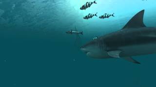 Sharks 3D Live Wallpaper and Screensaver [upl. by Jamnes367]