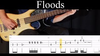 Floods Pantera  Bass Cover With Tabs by Leo Düzey [upl. by Ahsehat896]