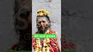 vrindavan viralvideo indreshjibhajan [upl. by Alleunam]